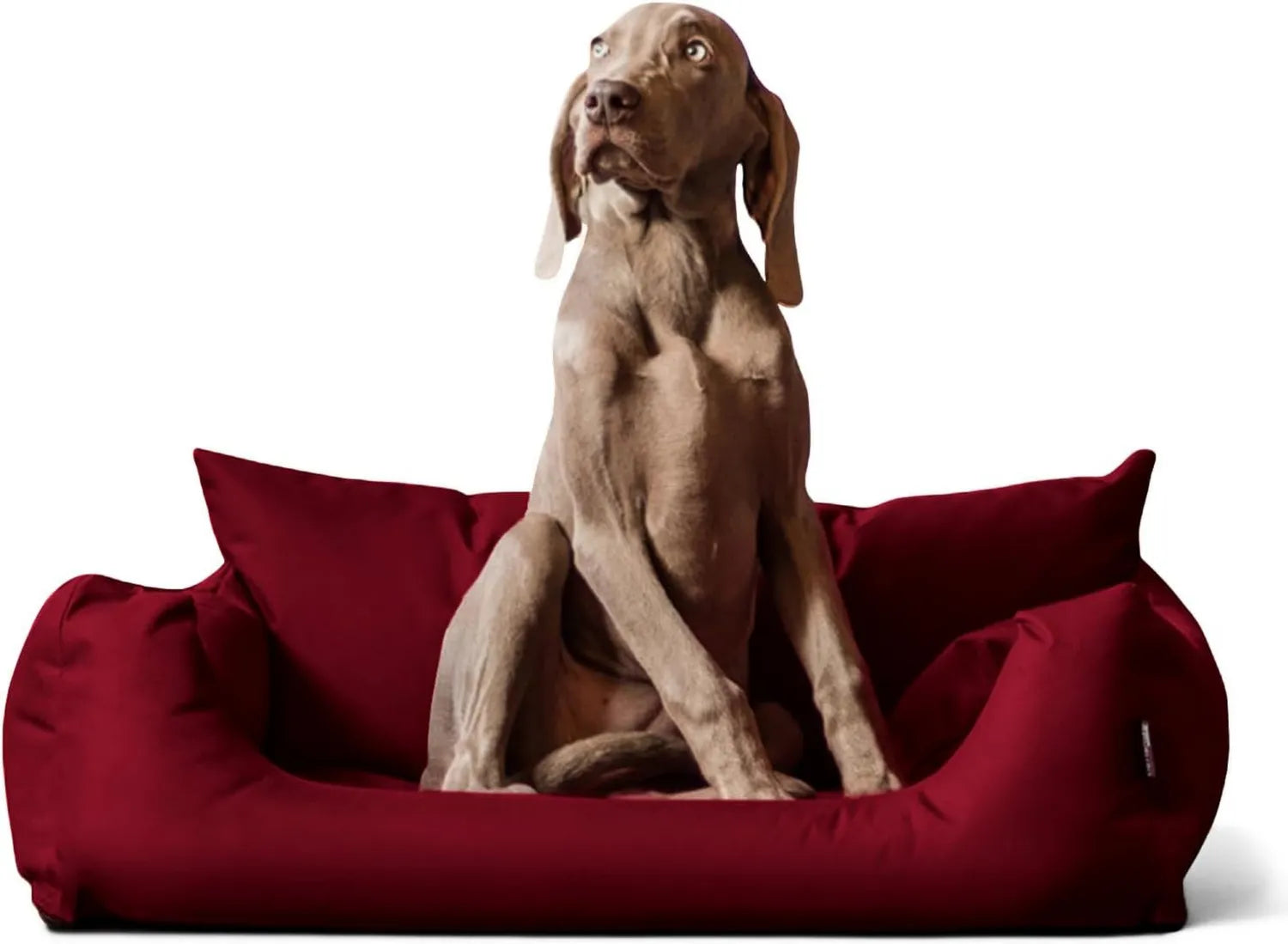 Haustierbett: Hundesofa mit herausnehmbarer Komfort-Matratze und waschbarem Bezug, 100 × 80cm