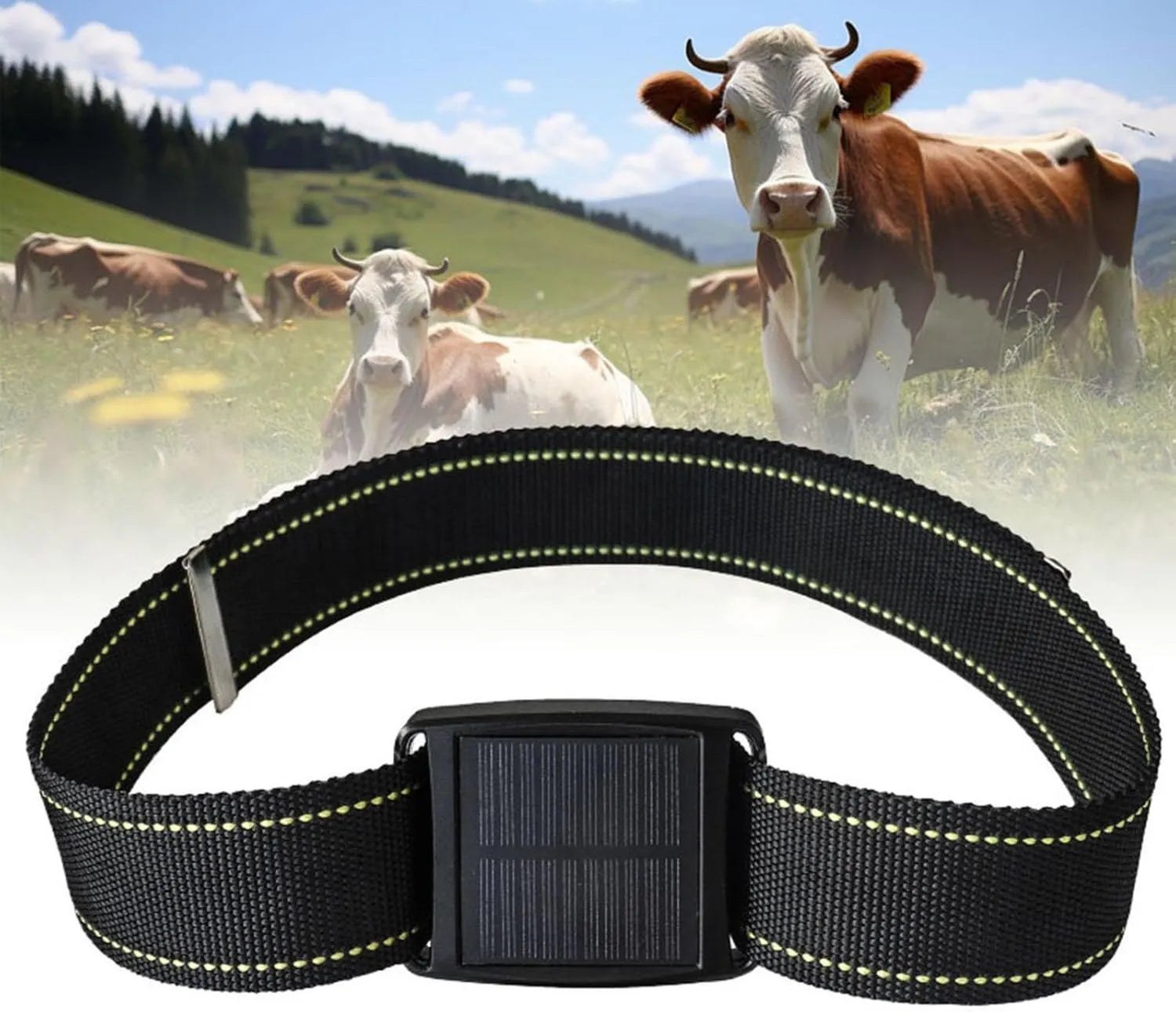 Solar GPS Tracker für Vieh Echtzeit Wasserdicht Ortungsgerät für Rinder - wasserbeständig
