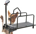 Hundelaufband: mit Display, 80 Kg
