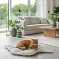 Haustierbett – Katzenkissen Weich waschbar, 100 × 64cm