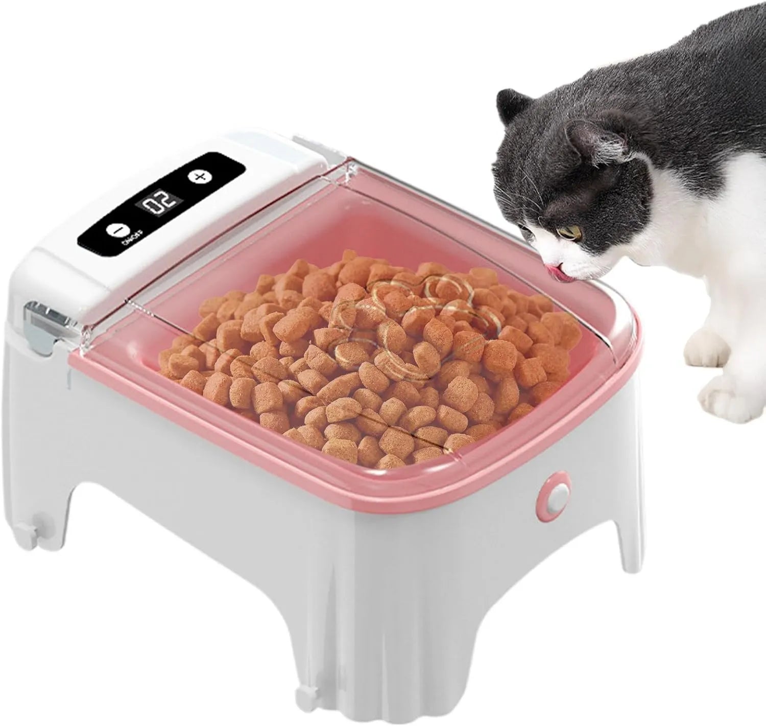 Futterautomat – automatischer Futterspender für Katzen