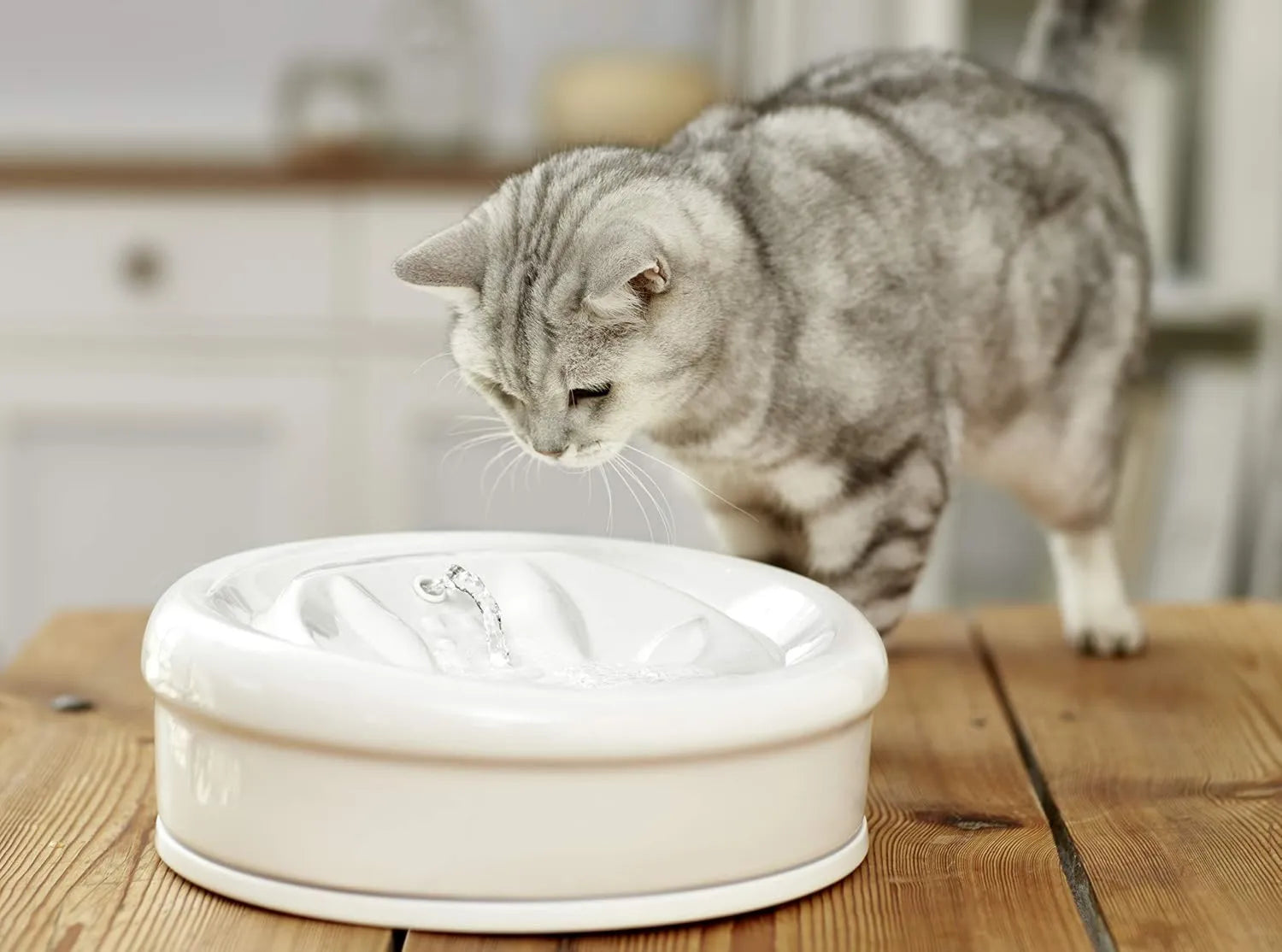 Premium Keramik Katzenbrunnen Aqua Feline (Weiß)