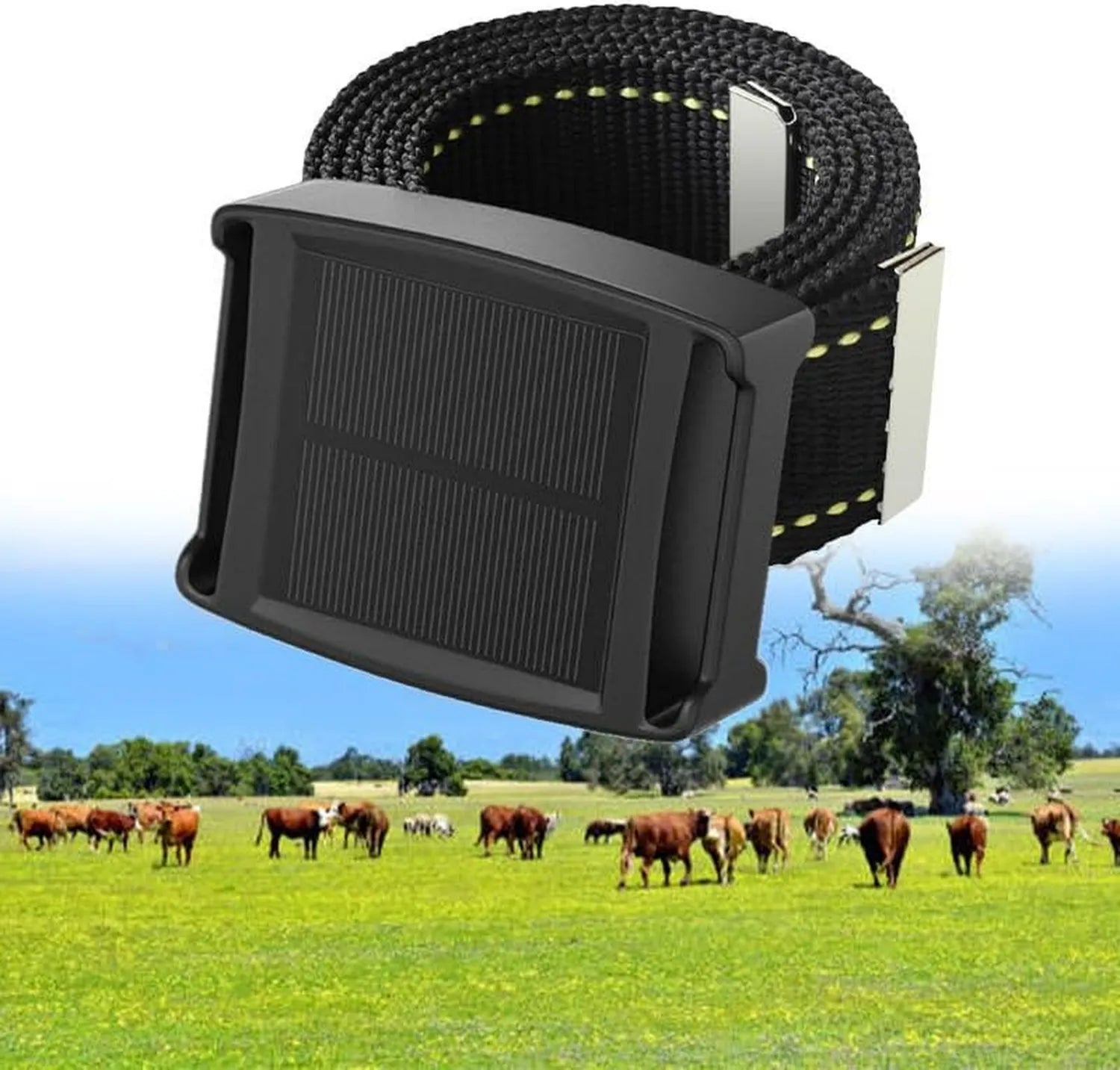 GPS-Halsband für Haustiere - wasserbeständig, 20.000 mAh, 4G